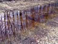 Бузова Пасківка - Останні фото