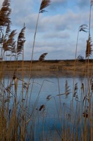 Почапки - Останні фото