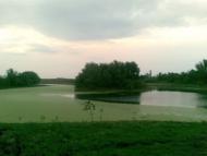 Дмитрівка з panoramio.com