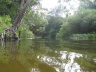 Бабайківка з panoramio.com