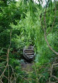 Старий Биків з panoramio.com