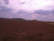 Велика Мочулка з panoramio.com