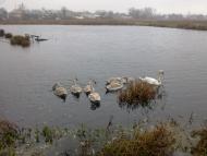 Яворів з panoramio.com