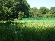 Рибальське з panoramio.com