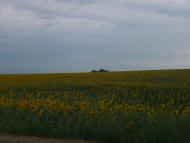 Гурівка з panoramio.com