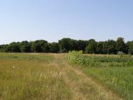 Гусачівка з panoramio.com