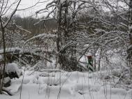 Заріг з panoramio.com