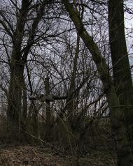 Слабин з panoramio.com