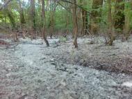 Піски з panoramio.com