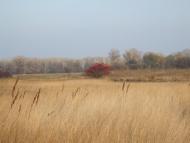 Федоренки з panoramio.com