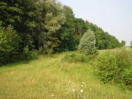 Слабин з panoramio.com