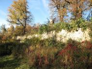 Старий Олексинець - Останні фото