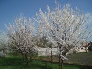 Верхоли з panoramio.com