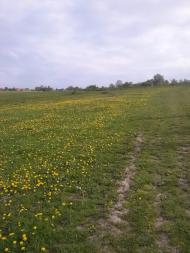 Богородичин з panoramio.com