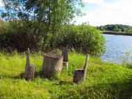 Соснівка з panoramio.com