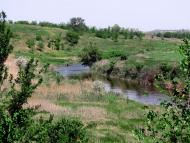 Новобратське - Останні фото