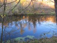 Кам'яне з panoramio.com