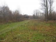 Волфине з panoramio.com