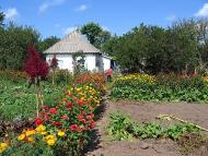 Ціпки з panoramio.com