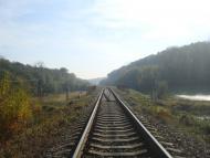 Лісоводи з panoramio.com