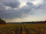 Чумаки з panoramio.com