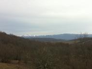 Синапне з panoramio.com