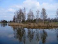 Ровжі з panoramio.com