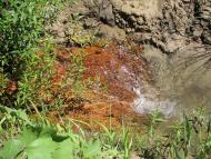 Підлісне з panoramio.com