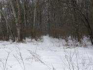 Оржиця з panoramio.com