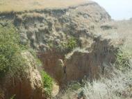 Парутине з panoramio.com