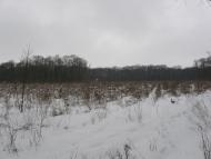 Заріг з panoramio.com