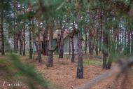 Енергодар з panoramio.com - Энергодар