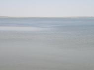 Сиваш з panoramio.com