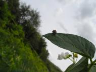 Пархоменко з panoramio.com