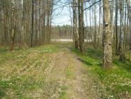 Яменець з panoramio.com