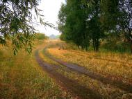 Шевченкове з panoramio.com