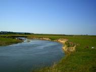 Корчин з panoramio.com