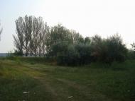 Привітне з panoramio.com