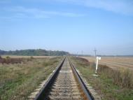 Лісоводи з panoramio.com