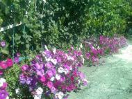 Улакли з panoramio.com