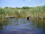 Краснопілля з panoramio.com