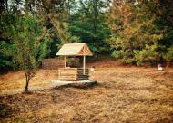 Зброжковка - Последние фото