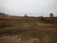 Новоселівка Друга - Останні фото