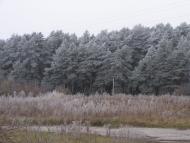 Верхоли з panoramio.com