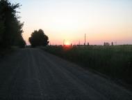 Грушка з panoramio.com