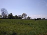 Богородичин з panoramio.com