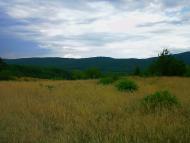 Щасливе з panoramio.com