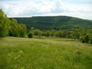 Тимків з panoramio.com