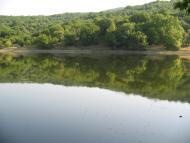 Синапне з panoramio.com