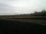 Сєверне з panoramio.com